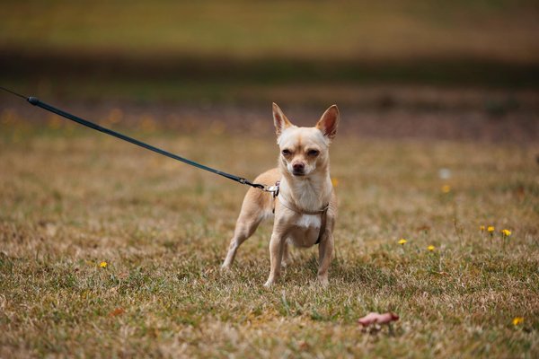 5 Economic Advantages of Buying Craft Spirits Made in the USA